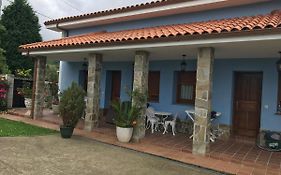 El rosal 2